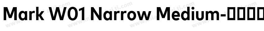 Mark W01 Narrow Medium字体转换